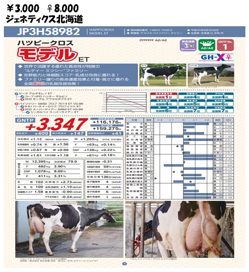 ジェネティクス北海道　ハッピークロス　モデル