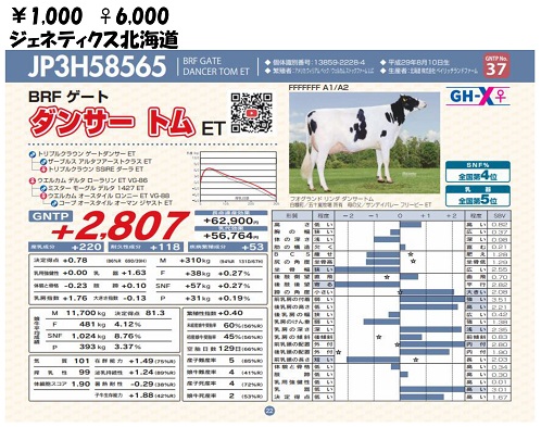 ジェネティクス北海道　ダンサートムET