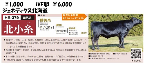 ジェネティクス北海道　北小糸