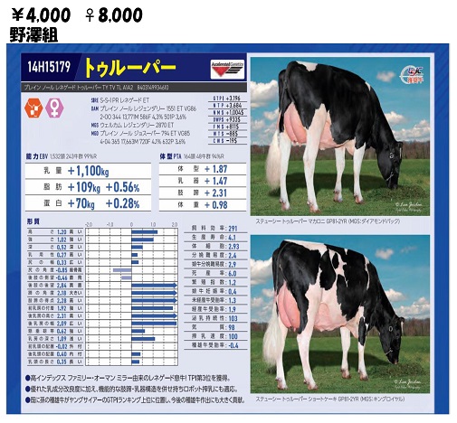 トゥルーパー